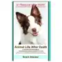 Createspace independent publishing platform Animal life after death & animal reincarnation: pet loss answers for all your heart's questions Sklep on-line