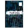 Createspace independent publishing platform Fergus mason - turing Sklep on-line