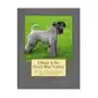Createspace independent publishing platform I want a pet kerry blue terrier: fun learning activities Sklep on-line