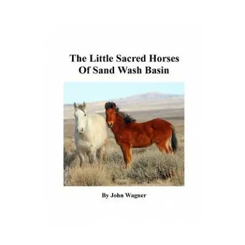 Createspace independent publishing platform Little sacred horses of sand wash basin