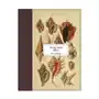 Createspace independent publishing platform Vintage prints: shells Sklep on-line