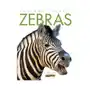 Creative ed & paperbacks Kate riggs - zebras Sklep on-line