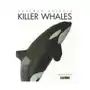 Killer whales Creative ed & paperbacks Sklep on-line