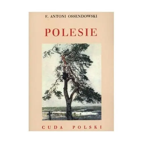 Cuda Polski. Polesie