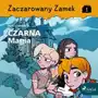 Czarna Magia. Zaczarowany zamek. Tom 1 Sklep on-line