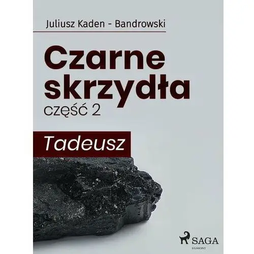 Czarne skrzydła. Tadeusz. Część 2