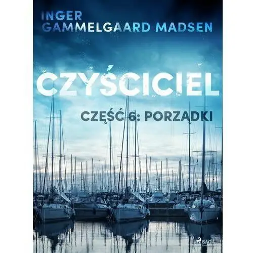 Czyściciel 6: Porządki