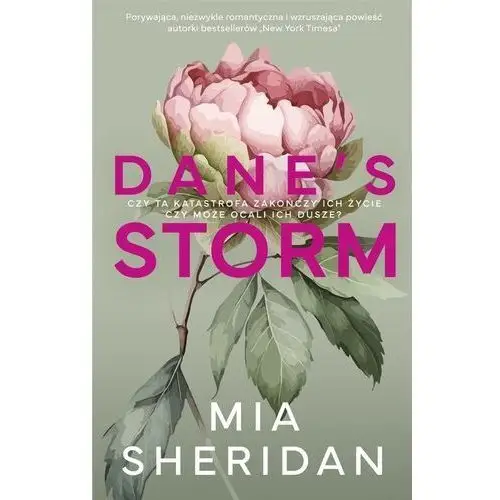 Dane's Storm