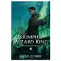 Triumph Of The Wizard King: The Wizard King Trilogy Book Three Sklep on-line