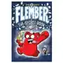 Flember: the secret book David fickling books Sklep on-line