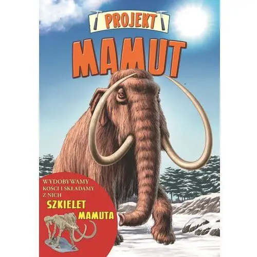 Debit Projekt mamut