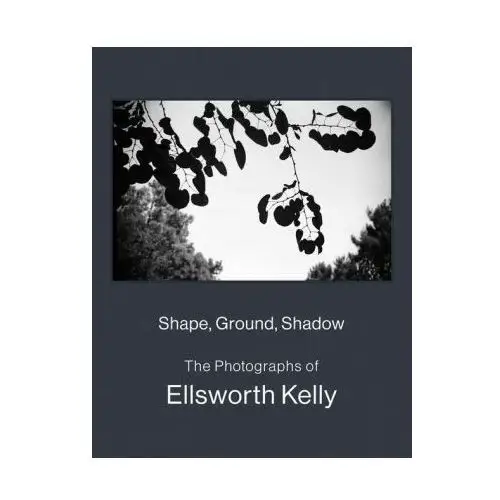 Shape, form, shadow: the photographs of ellsworth kelly Delmonico books