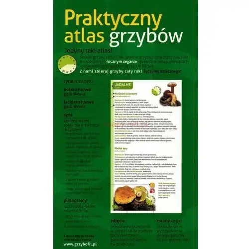 Praktyczny atlas grzybów. Demart