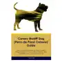 Desert thrust ltd Canary mastiff dog (perro de presa canario) guide canary mastiff dog guide includes Sklep on-line