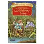 Destino infantil Las aventuras de huckleberry finn Sklep on-line