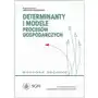 Determinanty i modele procesów gospodarczych. wybrane zagadnienia Sklep on-line
