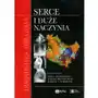 Diagnostyka obrazowa Serce i duże naczynia Sklep on-line