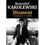 Diament odnaleziony w popiele Sklep on-line