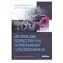 Metodologia bezpieczeństwa w przykładach i zastosowaniach Difin Sklep on-line