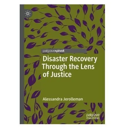 Disaster Recovery Through the Lens of Justice Jerolleman, Alessandra