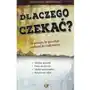 Dlaczego czekać? 24 powody, by poczekać z seksem do małżeństwa Sklep on-line