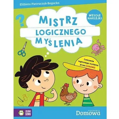 Domowa akademia. Mistrz logicznego myślenia