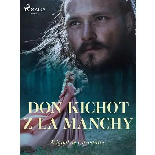 Don Kichot z La Manchy