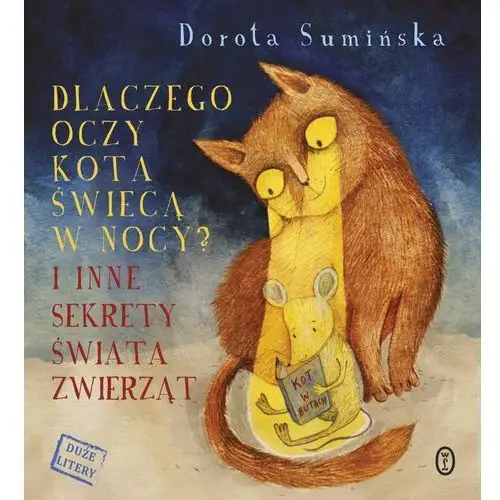 Dorota sumińska Dlaczego oczy kota świecą w nocy?