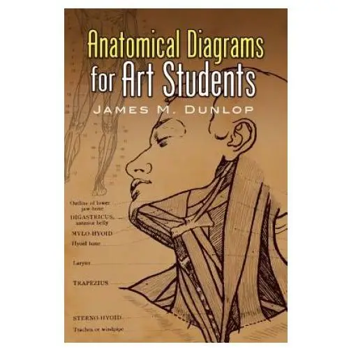 Dover publications inc. Anatomical diagrams for art students