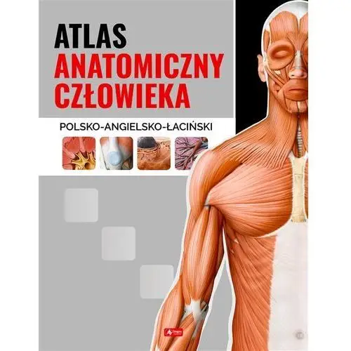 Dragon Atlas anatomiczny człowieka