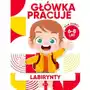 Główka pracuje. labirynty Dragon Sklep on-line