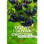 Dragon Krzewy i drzewa owocowe. poradnik praktyczny Sklep on-line