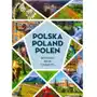 Polska, poland, polen Dragon Sklep on-line