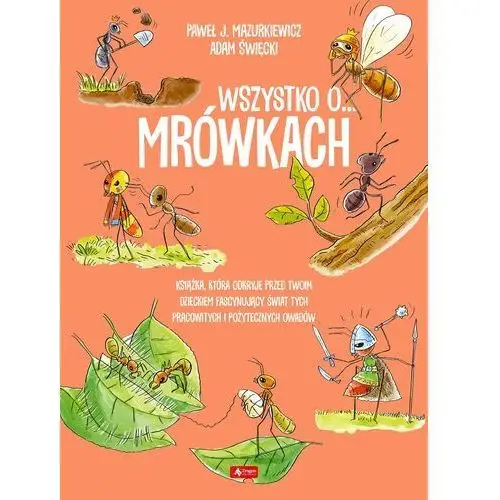 Wszystko o… mrówkach