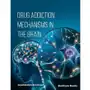 Drug Addiction Mechanisms in the Brain Sklep on-line