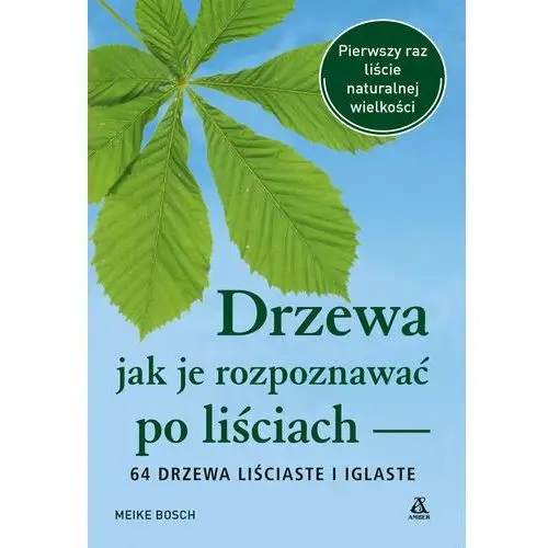 Drzewa. Jak je rozpoznawać