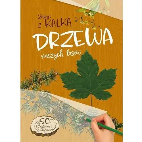 Drzewa naszych lasów. Zeszyt z kalką