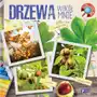 Drzewa wokół mnie. Rosnę i odkrywam Sklep on-line