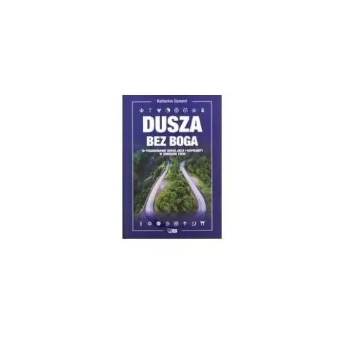 Dusza bez boga. w poszukiwaniu sensu, celu i wspólnoty w świeckim życiu