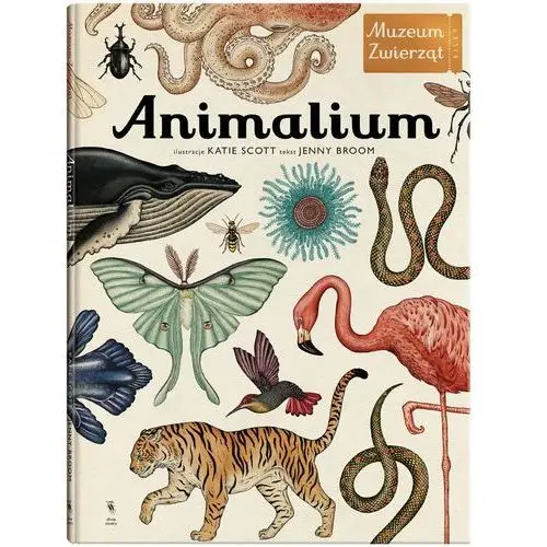 Animalium muzeum zwierząt - jenny broom. katie scott Dwie siostry