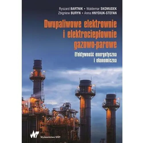 Dwupaliwowe elektrownie i elektrociepłownie gazowo-parowe. Efektywność energetyczna i ekonomiczna