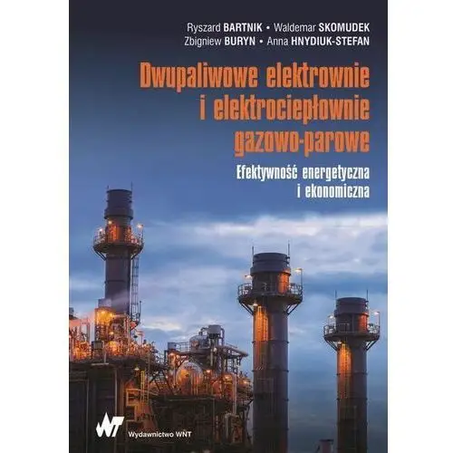 Dwupaliwowe elektrownie I elektrociepłownie gazowo-parowe efektywność energetyczna I ekonomiczna