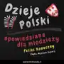 Dzieje polski opowiedziane dla młodzieży Sklep on-line