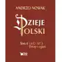 Dzieje Polski. Potop i ogień 1632-1673. Tom 6 Sklep on-line