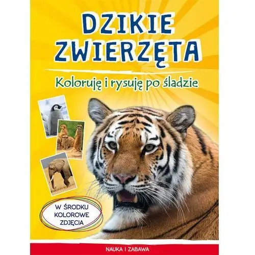 Dzikie zwierzęta. Koloruję i rysuję po śladzie