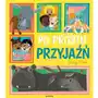 Po prostu przyjaźń Dziwimisie Sklep on-line