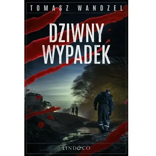 Dziwny wypadek. Komisarz Oczko. Tom 16