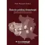 Historia polskiej dramaturgii. polityczne, gospodarcze i społeczne aspekty rozwoju dramaturgii polskiej Sklep on-line