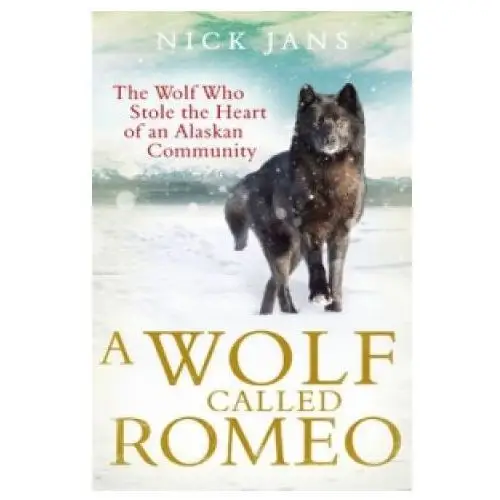 Wolf Called Romeo