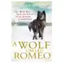 Wolf Called Romeo Sklep on-line